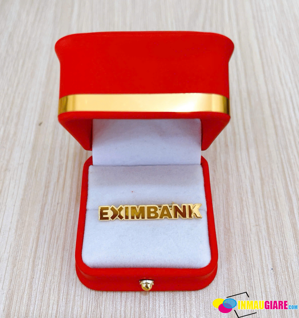 iN Huy Hiệu Logo Công Ty Giá Rẻ, Lấy Ngay tại Hà Nội [iN Nhanh]